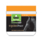 Equine Brace